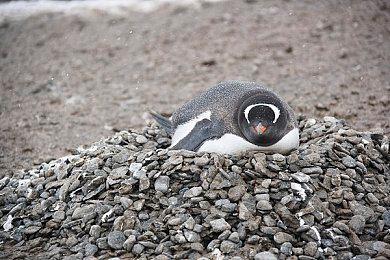 黑暗神话FPS《陨灭》确认将登陆上世代和本世代主机